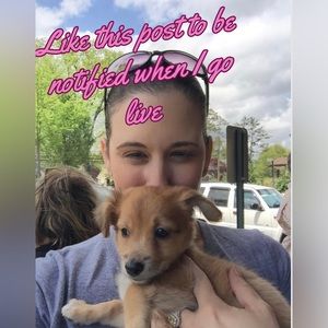 Like this listing to know when I go live